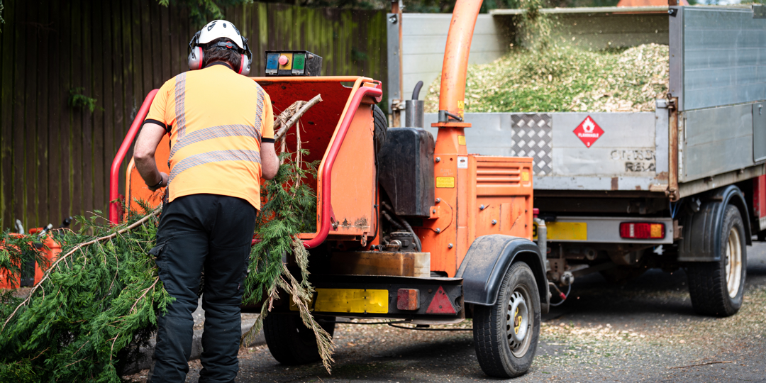 A professional tree care worker viewed from behind, wearing a bright orange safety vest, protective pants, a white hard hat, and ear protection. He is feeding large evergreen branches into an orange industrial wood chipper. The machine is connected to a wh