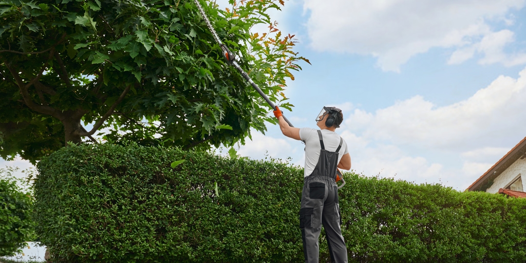 tree pruning