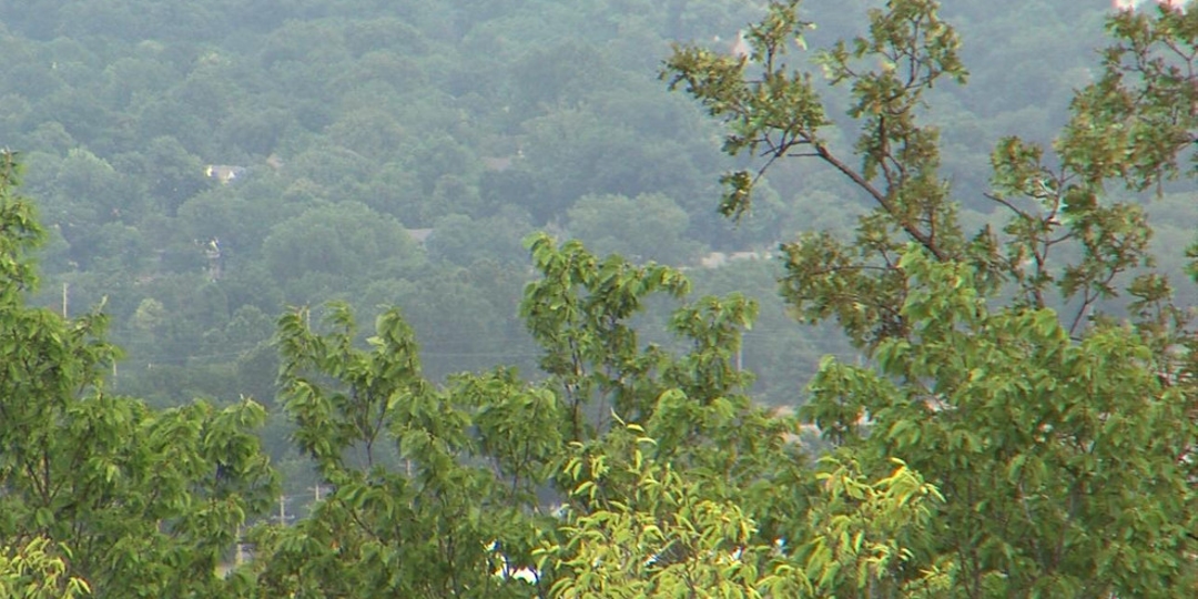 Monster Tree Service