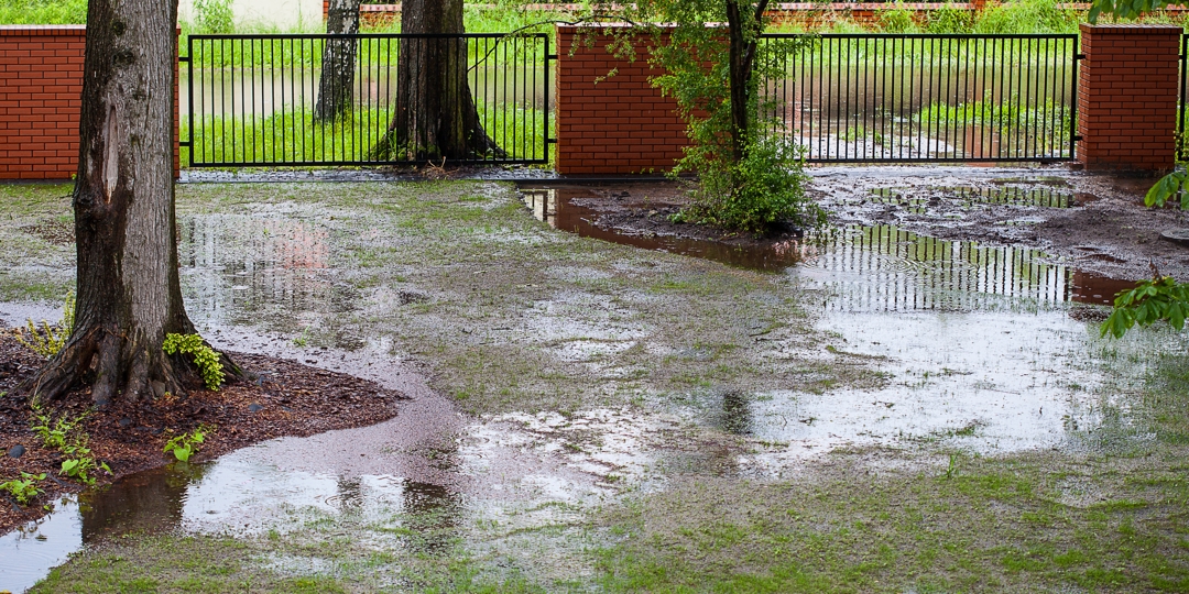 Monster Tree Service Alexandra