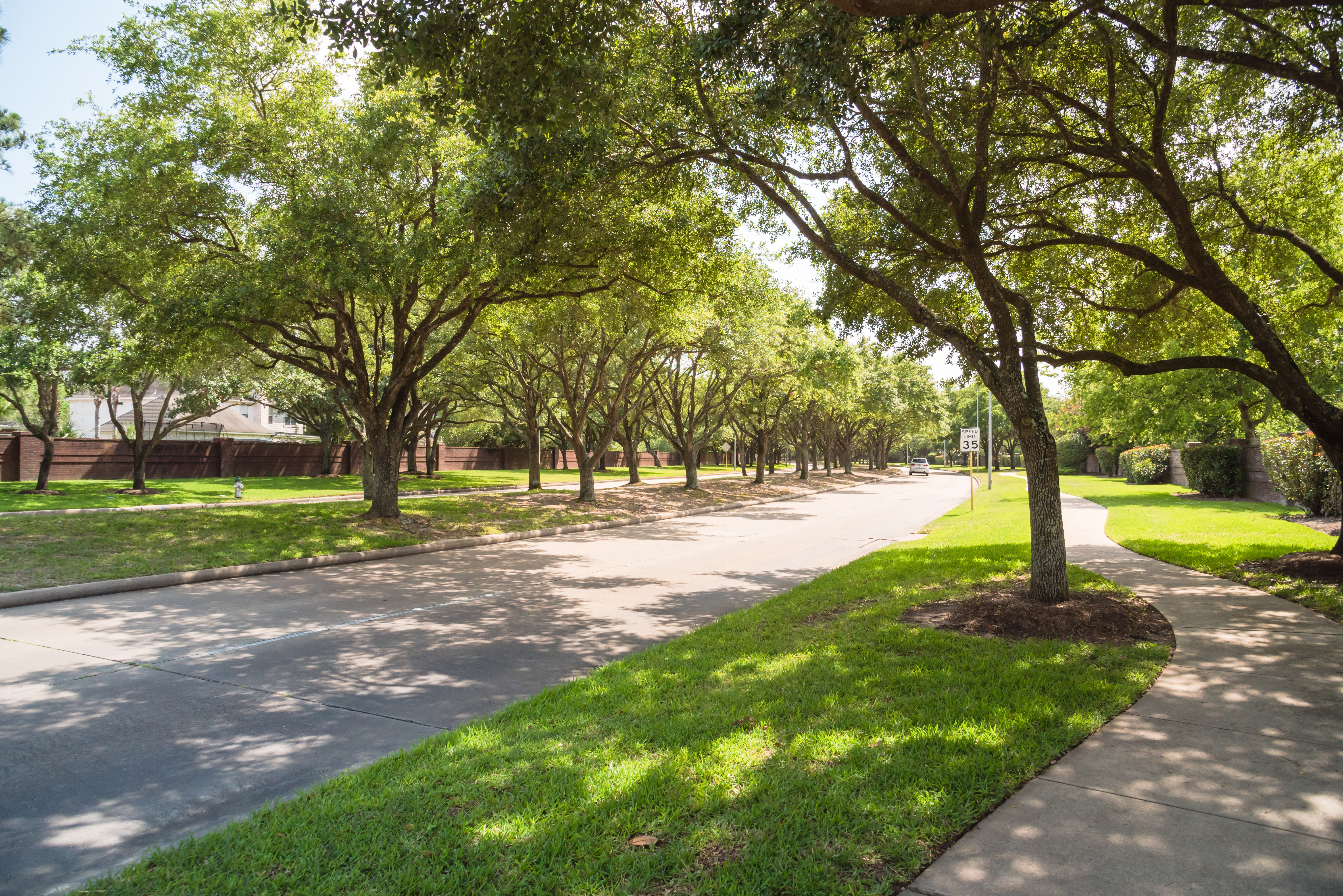 Tree Service Warranty & Guarantees: Terms, Coverage & What Sets Monster Tree Apart in Texas Gulf Coast